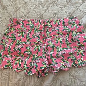 Size 16 Crown and Ivy tropical print shorts. New without tags